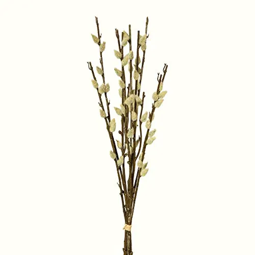 creativ home Künstlicher Weidenkätzchen Bund 42 cm