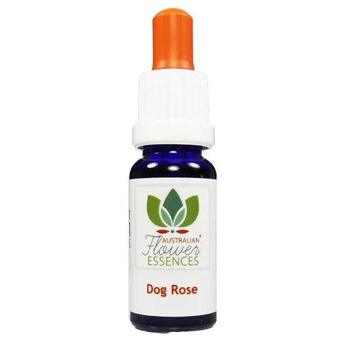 DOG ROSE Buchblüten Essenzen Australian Flower Essences