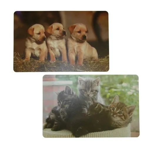 TOP STAR - Platzmatte Tiermotive sortiert 43x28 cm (1 Stück)