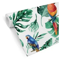 K&L Wall Art Papageien Tapete von Wall Art