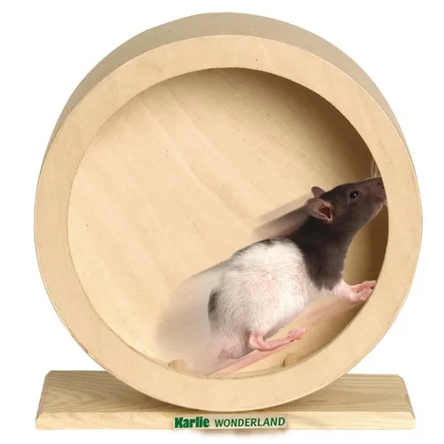 Karlie Wonderland Bogie Wheel Laufrad - 20 cm, aus unbehandeltem Naturholz, ideal für Zwerghamster und Degus, breiter Standfuß für Stabilität