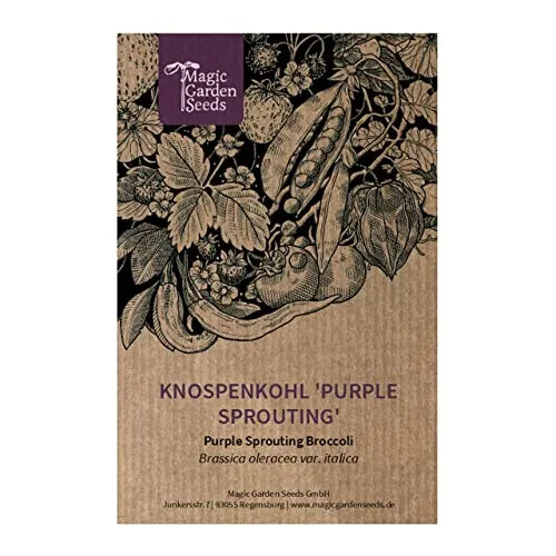 Knospenkohl 'Purple Sprouting' (Brassica oleracea) 100 Samen