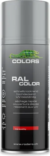 COLORS Sprühlack - 400ml Spraydose | RAL9006 - Silber Glanz