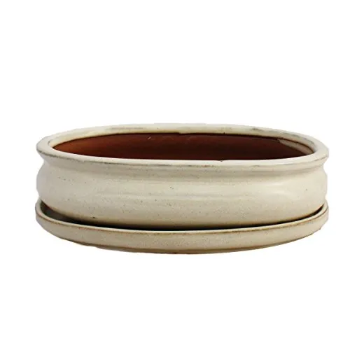 exotenherz Bonsai-Schale oval mit Unterteller Gr. 3 - Hellbeige - 19cm - Elegante, glasierte Bonsai-Schale in hellbeige, ideal für Zimmerbonsai. Mit Entwässerungslöchern für optimale Pflege. Maße: 19cm x 13,5cm x 5cm.