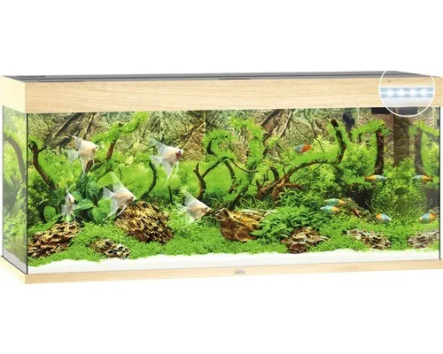 Aquarium JUWEL Rio 240 mit LED-Beleuchtung - Aquarien mit kompletter Ausstattung: Pumpe, Filter und Heizer für optimale Bedingungen und einfaches Einrichten.