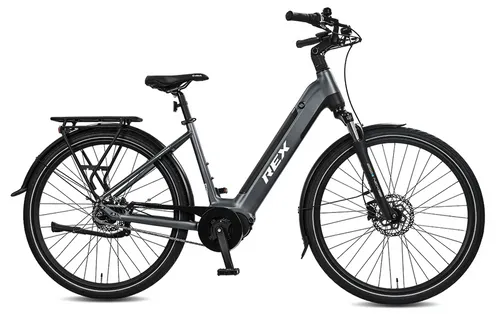 Rex Commuter+ E-Bike Wave 48 grau