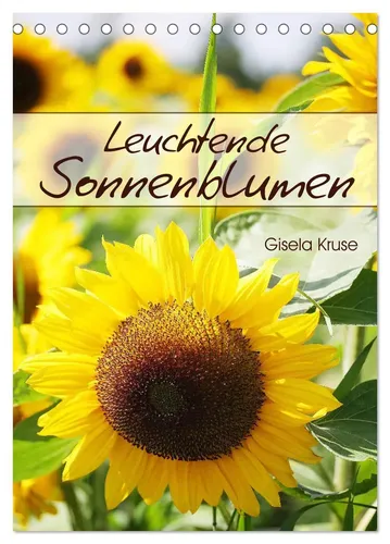 CALVENDO Kalender, Organizer & Zeitplaner von CALVENDO