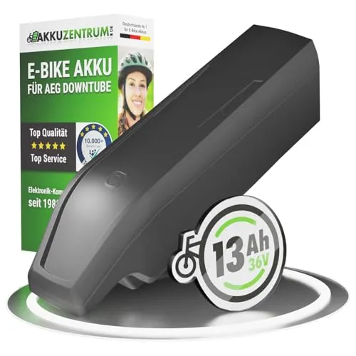 E-Bike Ersatz-Akku 36V 13Ah für Prophete, Zündapp & mehr