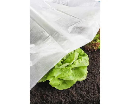 Haushalt International Blumenkralle Gartenvlies Pflanzenschutzsack Wintervlies Kälteschutz Pflanzen Bäu