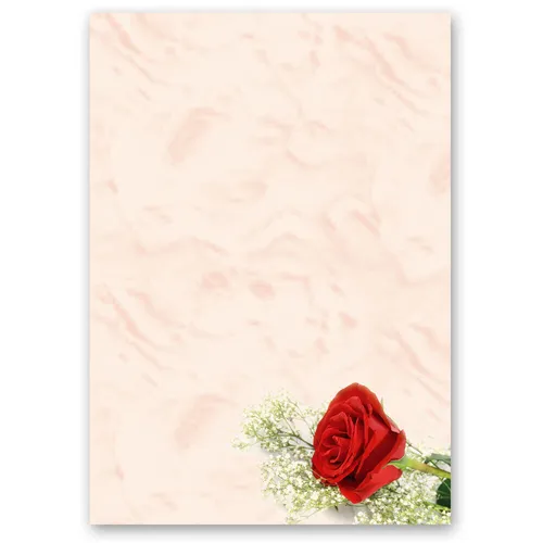 Motiv-Briefpapier ROTE ROSE - DIN A5 Format 50 Blatt