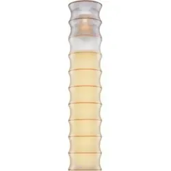 Bill Blass Amazing Eau de Parfum 100ml