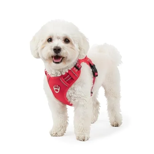 Reichstadt Pets Hundegeschirr – Verstellbares No-Pull Geschirr mit Griff & Reflektoren | Atmungsaktiv, Gepolstert & Strapazierfähig | Sicherheitsgeschirr für Kleine Hunde 25RSP083 Red S