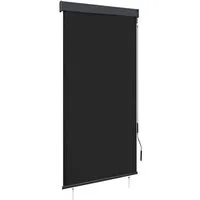 vidaXL Außenrollo 80 x 250 cm Anthrazit