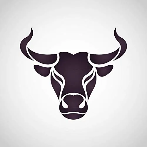 Taurin – rein/ohne Zusatzstoffe | Pulver | konditionell-essentielle Aminosäure | Nahrungsergänzungsmittel Sport | vegane Nutrition | Buxtrade 100 g