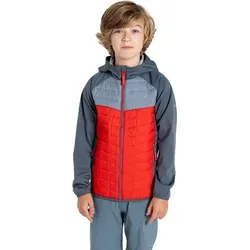 Dare2b Explore II Hybrid Jacke für Jungen 5-6 Jahre - Orange/Grau - Leichte, wasserabweisende Hybridjacke aus recyceltem Polyester mit Windschutz-Technologie. Ideal für aktive Kinder, bietet sie Wärme und Sichtbarkeit dank reflektierender Elemente.