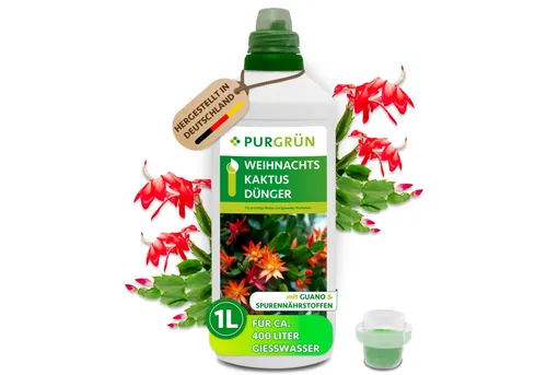Purgrün Weihnachtskaktus Dünger, 1L von Purgrün