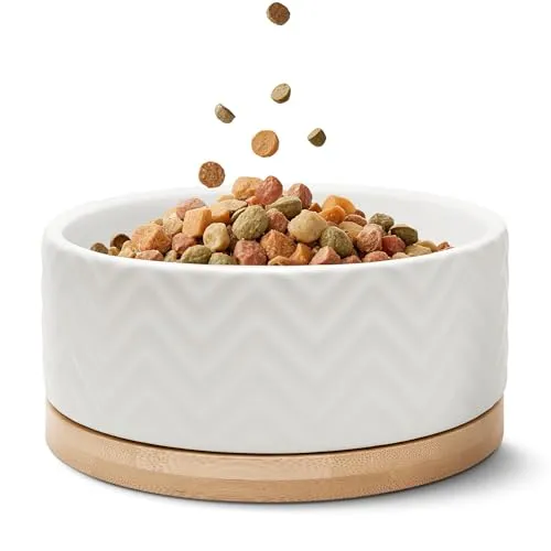 FREUDENTIER Hundenapf aus Keramik mit Bambus-Boden - 990ml - rutschfest & spülmaschinenfest - Moderner Futternapf/Fressnapf für Grosse Hunde & kleine Hunde - Napf Hund (Weiß, 1x)