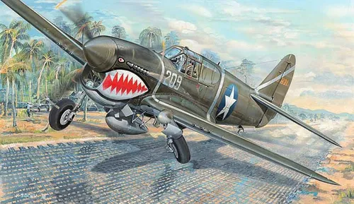 Trumpeter 1/32 P-40F War Hawk - Detaillierter Modellbausatz - Bauspielzeug & Konstruktionsspielzeug, langlebig und flexibel gestaltbar für kreative Modellbauer.