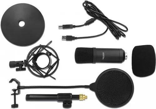 Delock Professional USB Kondensatormikrofon Set für Podcasting und Gaming - Mikrofone mit hochwertigem Klang, ideal für Podcaster und Gamer, inklusive Zubehör für sofortigen Einsatz.