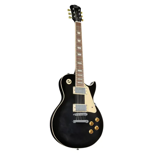 J & D LS500 BKS E-Gitarre