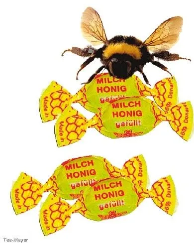 Milch Honig Bonbon gewickelt gefüllt 500g Original Edel 1 kg/17,80€ g1
