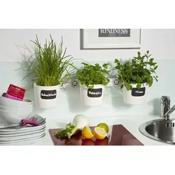 Kräuter- und Pflanzenleiter für Fenster