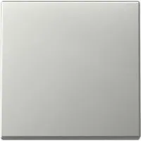 Wippe einteilig edelstahl, Retail von Gira