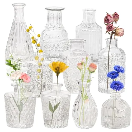 10er Set Kleine Vasen für Tischdeko, Mini Vasen Set, Vintage Glasvasen, Kleine Vase Glas, Blumenvase Klein, Knospenvase für Tischdeko Mittelstücke, Hochzeitsdekorationen Transparent