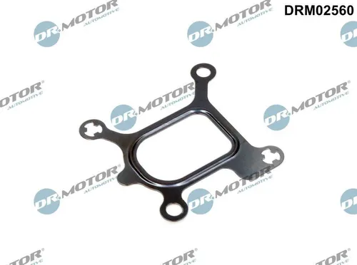 Dr.motor Automotive Dichtung, Kühlmittelflansch DRM02560