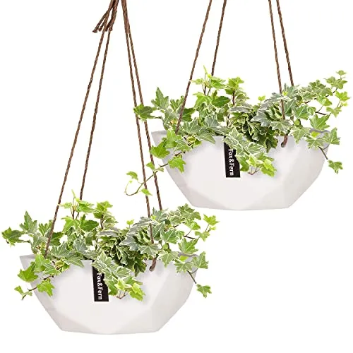 Produktbild Fox&Fern Blumentopf hängend Größe M