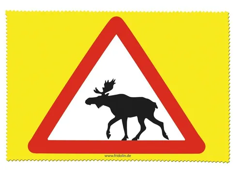 Fridolin Stoff Tuch Geschenkartikel Kunst und Kultur- Brillenputztuch Mikrofasertuch (18x12.5 cm, 1-tlg)