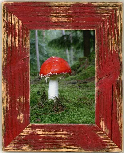 Bilderrahmen von Mein Landhaus