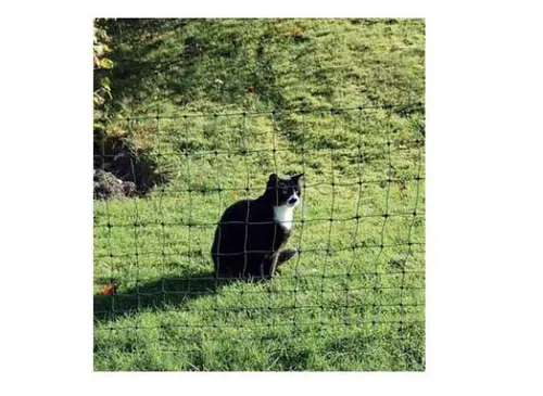 Göbel Euro Netz 75cm Höhe grün 25m Weidezaun - Weidenetz in Grün, 25 m lang und 75 cm hoch, ideal für die sichere Einzäunung von Weideflächen.