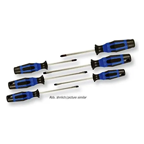 6tlg Schraubendreher Set (PH+Schlitz) mit Sechskantgriff - Schraubenzieher Set für professionelle Anwendungen, optimales Griffdesign für hohe Kraftübertragung und rutschfeste Handhabung, langlebige Klingenspitze für weniger Verschleiß.