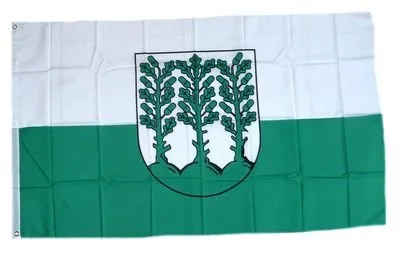 Fahne/Flagge Hoyerswerda NEU 90 x 150 cm Flaggen