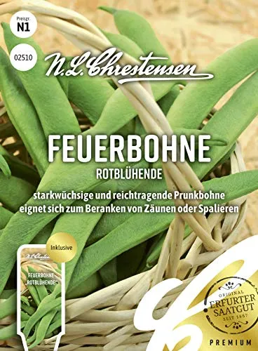 Feuerbohne Rotblühende Samen, Saatgut