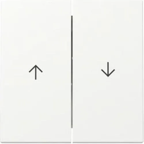 Gira Wippe 2f Pfeil System 55 329427 Reinweiss m (329427)