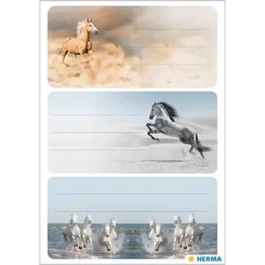 Herma Buchetiketten 1859 Vario, Pferde, 76 x 35mm, 9 Etiketten, 9 Stück