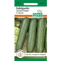 SAMEN PFANN Salatgurke Southern Delight F1