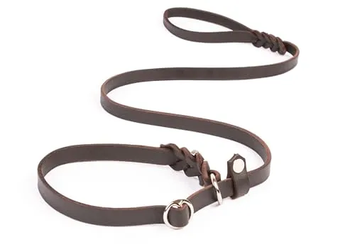 CopcoPet Retrieverleine mit Zugstopp für kleine Hunde – 1,20m x 10mm Moxonleine in Braun – Fettlederleine & Agilityleine aus Leder – stufenlos verstellbar, Handarbeit, verchromt, wetterfest