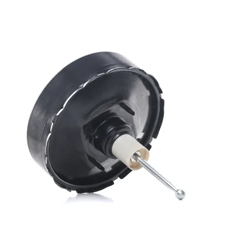 Borsehung Bremskraftverstärker B15996 von Borsehung