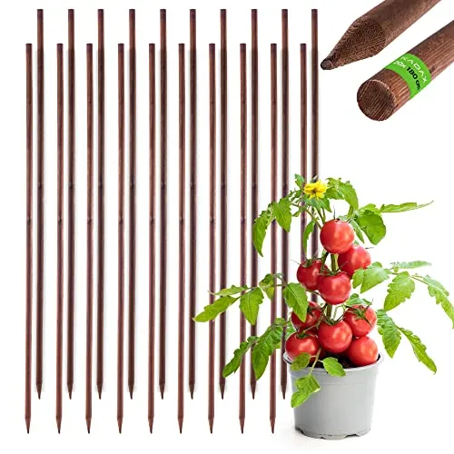 KADAX Rankhilfe aus imprägniertem Holz für Kletterpflanzen (20, 28mm x 180cm)