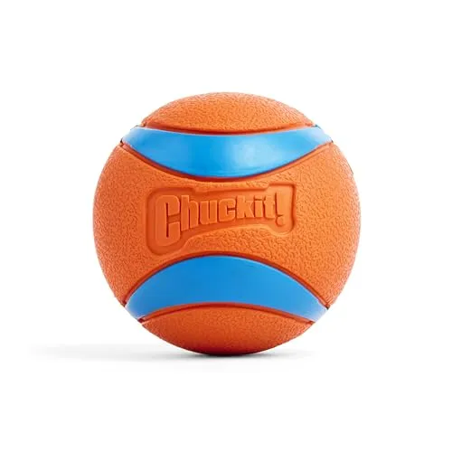 Chuckit!-Ultra-Ball  XXLarge    (ø 10 cm) von Chuckit!