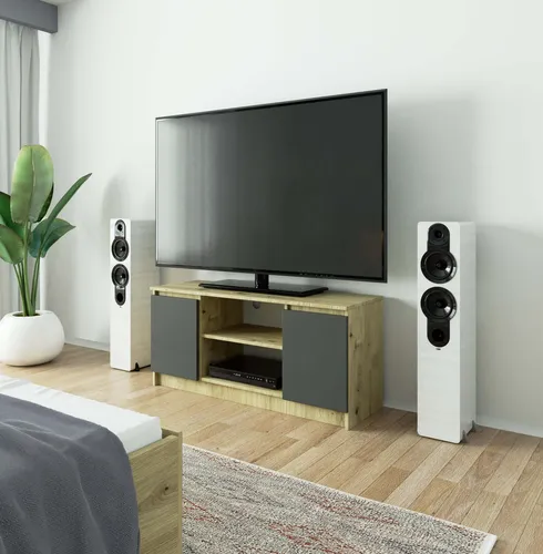 TV-Lowboard 120 cm mit 2 Türen und 1 offenem Fach - Modernes TV-Lowboard 120 cm, ideal für Ihr Home-Entertainment. Bietet praktischen Stauraum und Platz für gängige Fernseher. Stilvolles Design, das in jedes Wohnzimmer passt.