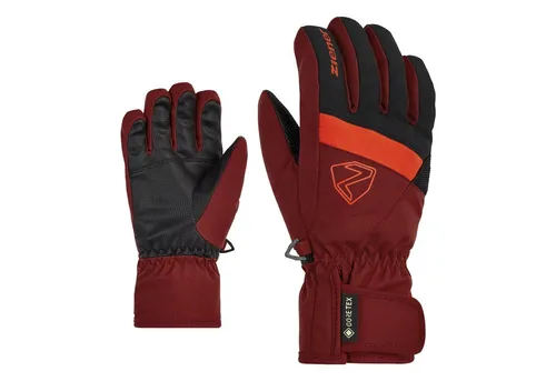 Ziener Skihandschuhe LEIF GTX in rot von ZIENER
