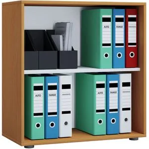 VCM my office Aktenregal L buche - 70,0 x 37,0 x 74,0 cm, robust und ideal für übersichtliche Ordnung im Büro oder Home Office