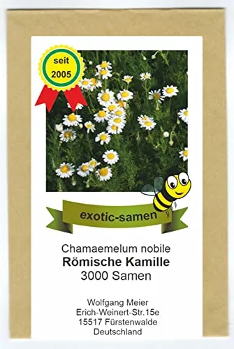 Römische Kamille Samen