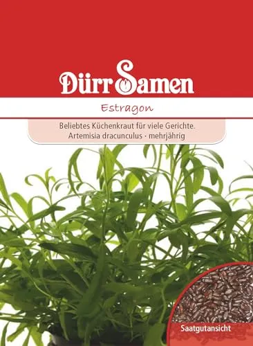 Dürr-Samen - Estragon Saatgut