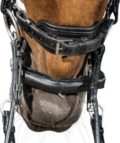 Dyon Chain Protection Kinnkettenschutz mit Neopren, Farbe:black