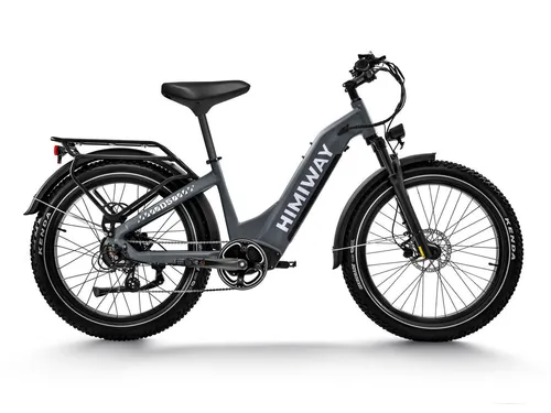 Himiway Zebra D5 26 Zoll Elektrofahrrad von DOTMALL
